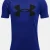 Royal-Black-400