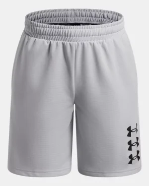 UA Next Gen Boys Shorts