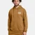 Yellow Ochre-Silt-707