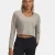 Timberwolf Taupe-Metallic Silver-203