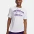 Northwestern University-100